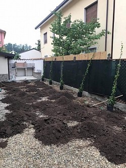 Preparazione posa prato